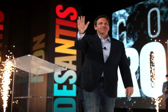 Ron DeSantis to Campaign for Trump-endorsed Candidates: Report