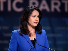 Tulsi Gabbard Gives Update On Trump Debate Prep