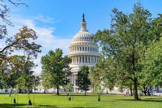Republican Lawmaker Gets Into Physical Altercation Outside US Capitol