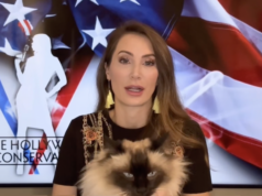 Amanda Head: Who’s Smarter? Cats or Democrats?