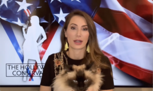 Amanda Head: Who’s Smarter? Cats or Democrats?