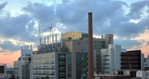 CDC Now Doling Out Controversial ‘Advice’ For New Dads