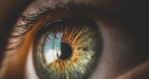 Mysterious Eye Injuries Reported By Trump Rallygoers – What’s Behind It?