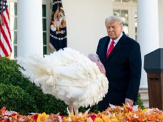 Thanksgiving Turnaround: Americans Finally See Relief Under President Trump