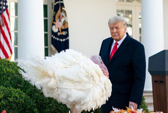 Thanksgiving Turnaround: Americans Finally See Relief Under President Trump