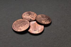 Democrat Senators Back Trump&#8217;s Penny Plan