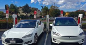 Trump Considers Labeling Tesla Vandals As Domestic Terrorists