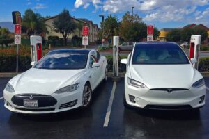 Man Drives Tesla Into Crowded Protest