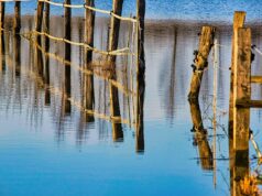 Texas Pediatrician Suspended and Removed Over Viral Flood Rant