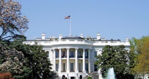 White House Fight Night In Jeopardy As Virginia Residents Sue To Stop Trump’s UFC Spectacle